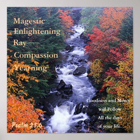 美しい自然ポスター。 ポスター (正面)