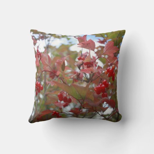 美しい自然秋の果実秋シーズンクール クッション (裏面)