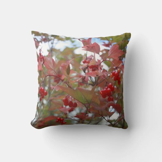 美しい自然秋の果実秋シーズンクール クッション (正面)