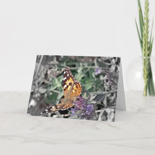 美しい自然 カード (正面)