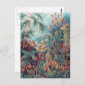 美しい自然 – コケ ポストカード (正面/裏面)