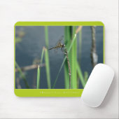 美しい自然: トンボ マウスパッド (マウス)