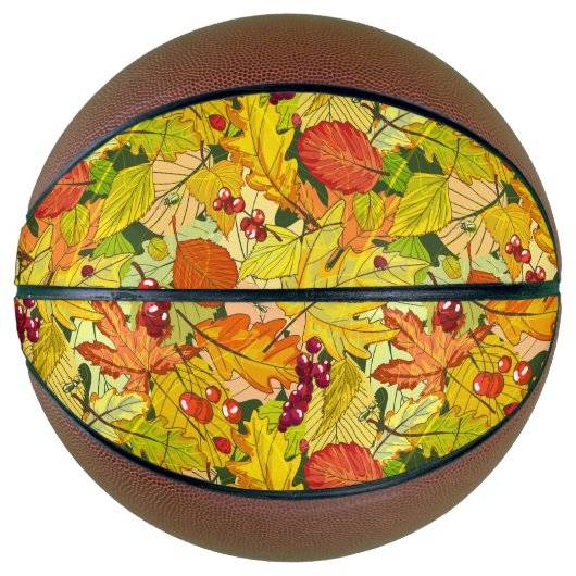 美しい自然 バスケットボール (正面)