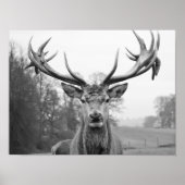 美しい自然 ポスター (正面)