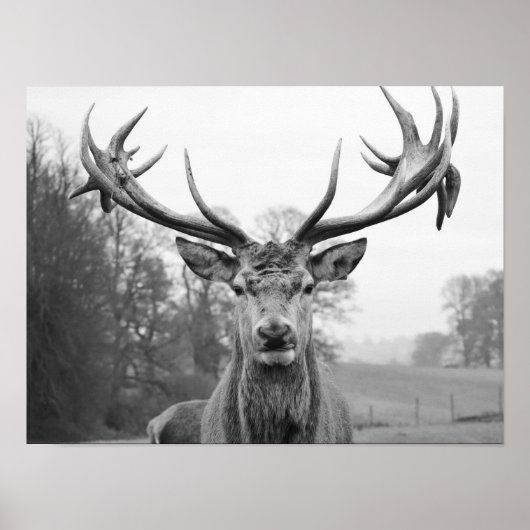 美しい自然 ポスター (正面)