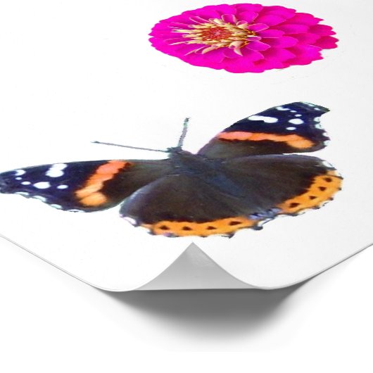 美しい自然 ポスター (角)