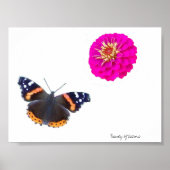 美しい自然 ポスター (正面)