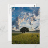 美しい自然 ポストカード (正面/裏面)