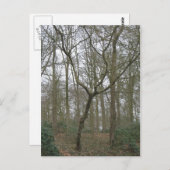 美しい自然Iは、醜い郵便はがきのコレクションを送ります ポストカード (正面/裏面)