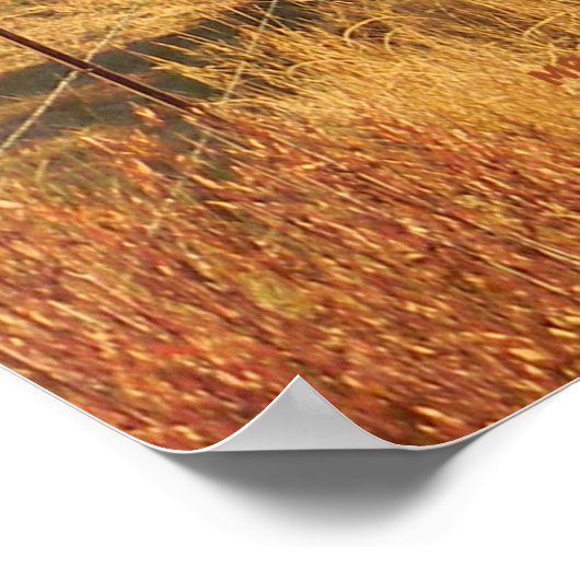 美しい色の秋... ポスター (角)