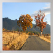 美しい色の秋... ポスター (正面)