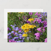 美しい色の花の束の写真 ポストカード (正面/裏面)