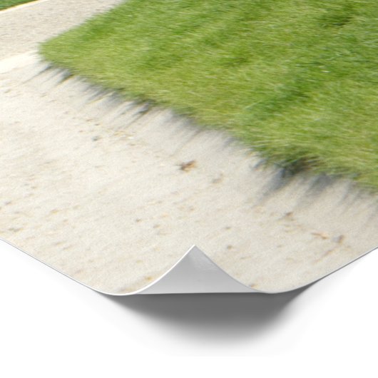 美しい花と家 ポスター (角)