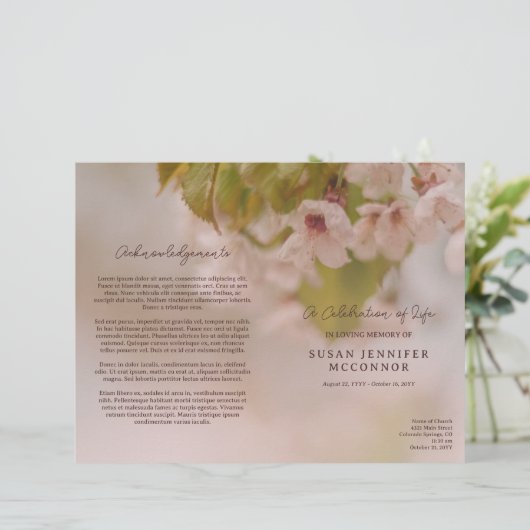 美しい花のお祝いの葬式 (スタンド正面)