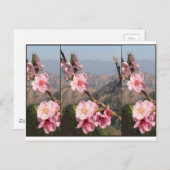 美しい花のインドUttraKHANDのフルーツのプランテーション ポストカード (正面/裏面)