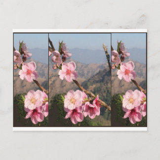 美しい花のインドUttraKHANDのフルーツのプランテーション ポストカード