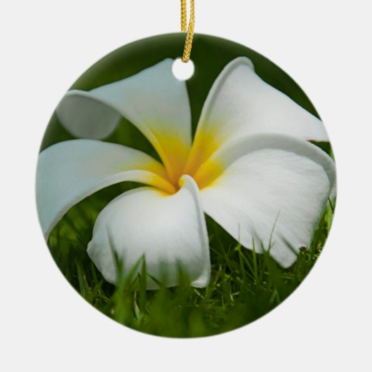 美しい花のクローズアップ – オーナメント (正面)
