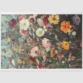 美しい花のフィールドとデイジーの分離 薄葉紙