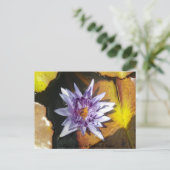 美しい花のポストカード ポストカード (スタンド正面)