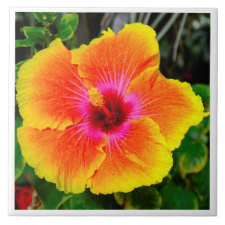 美しい花の写真のイメージ タイル