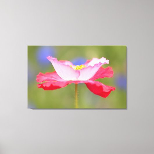 美しい花の写真 キャンバスプリント (正面)