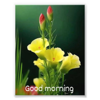 美しい花の写真 フォトプリント           