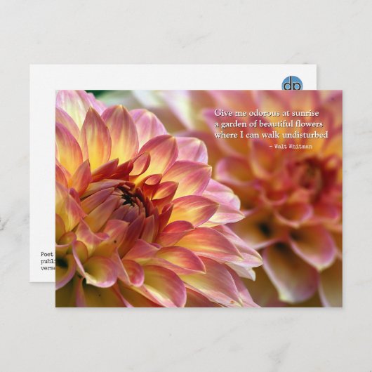美しい花の庭：引用文by Whitman ポストカード (正面/裏面)
