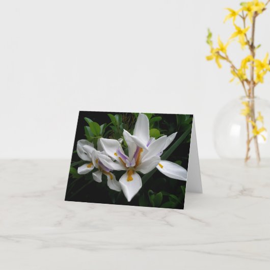 美しい花の花 カード (黄色い花)