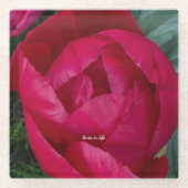 美しい花を咲かせる赤い芍薬 ガラスコースター (正面)