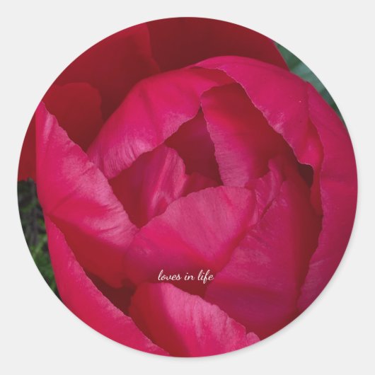 美しい花を咲かせる赤い芍薬 ラウンドシール (正面)