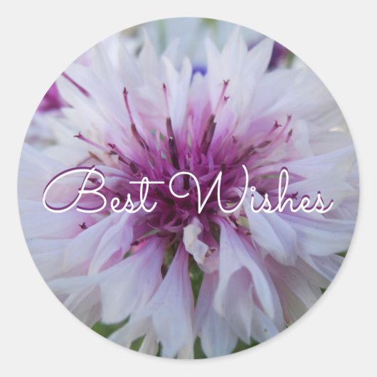美しい花クラシックラウンドシール ラウンドシール (正面)