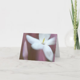 美しい花折りグリーティングカード カード