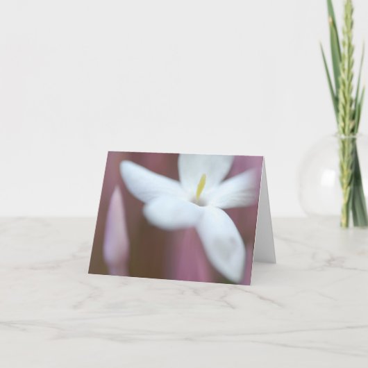 美しい花折りグリーティングカード カード (正面)