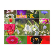 美しい花春と夏の感覚!