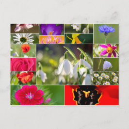 美しい花春と夏の感覚! ポストカード