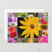 美しい花春と夏の感覚! ポストカード (正面/裏面)