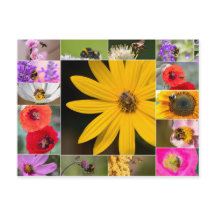 美しい花春と夏の感覚!