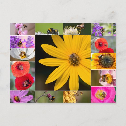 美しい花春と夏の感覚! ポストカード (正面)