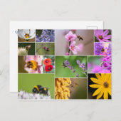 美しい花春と夏の感覚! ポストカード (正面/裏面)