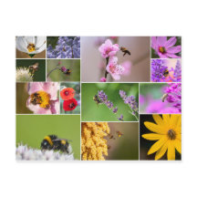 美しい花春と夏の感覚!