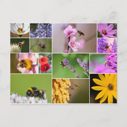 美しい花春と夏の感覚! ポストカード (正面)