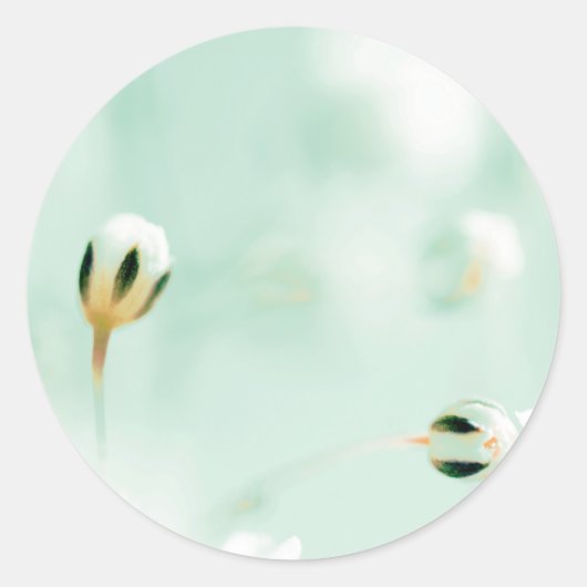 美しい花柄の丸型ステッカー ラウンドシール (正面)