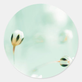 美しい花柄の丸型ステッカー ラウンドシール