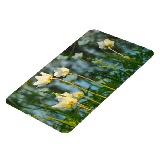 美しい花柄 マグネット (左側)