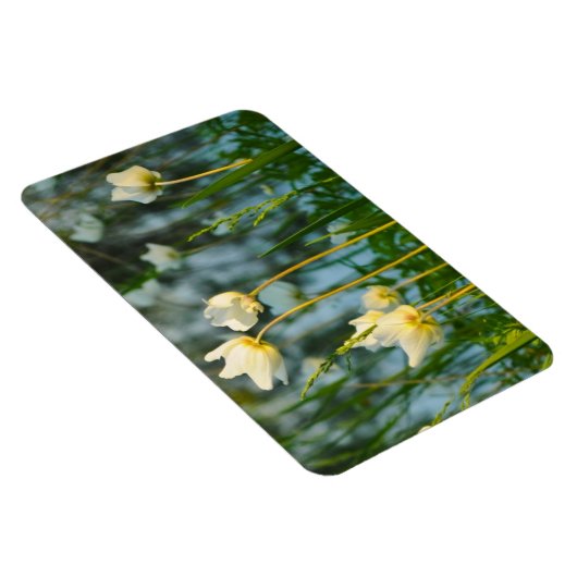 美しい花柄 マグネット (右側)