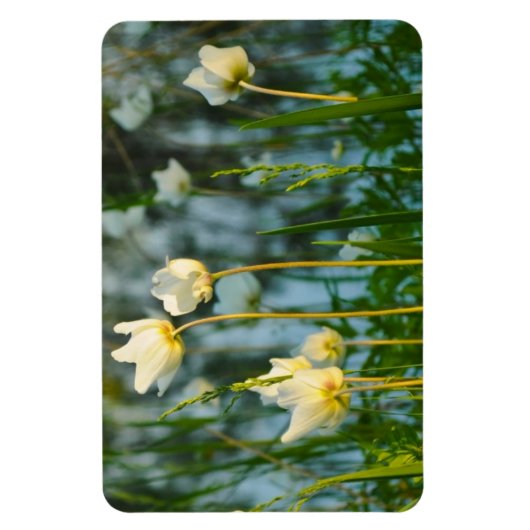 美しい花柄 マグネット (縦)