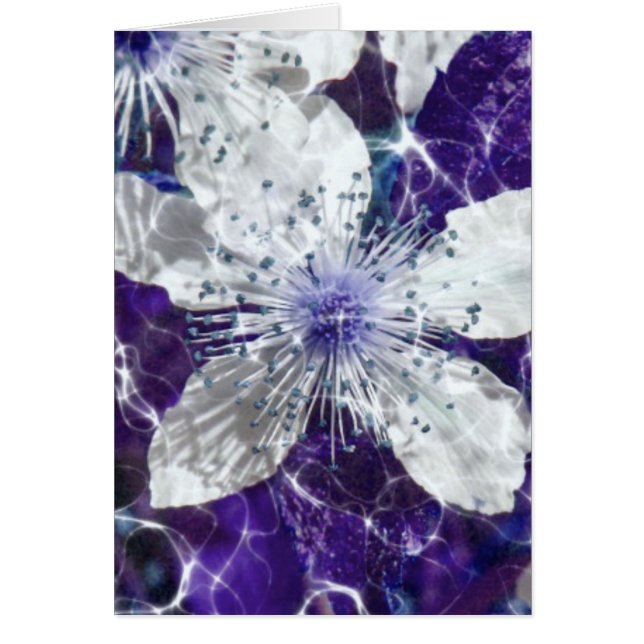 美しい花 (正面)