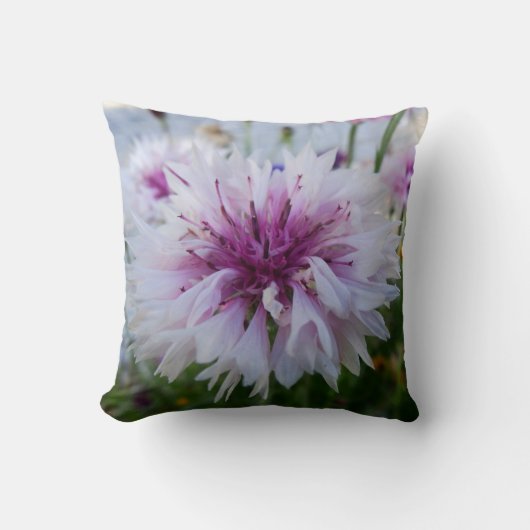 美しい花 クッション (正面)