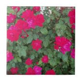 美しい花 タイル (正面)