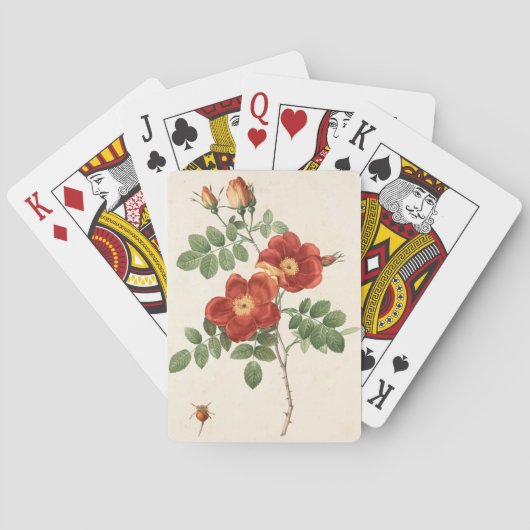 美しい花 トランプ (裏面)